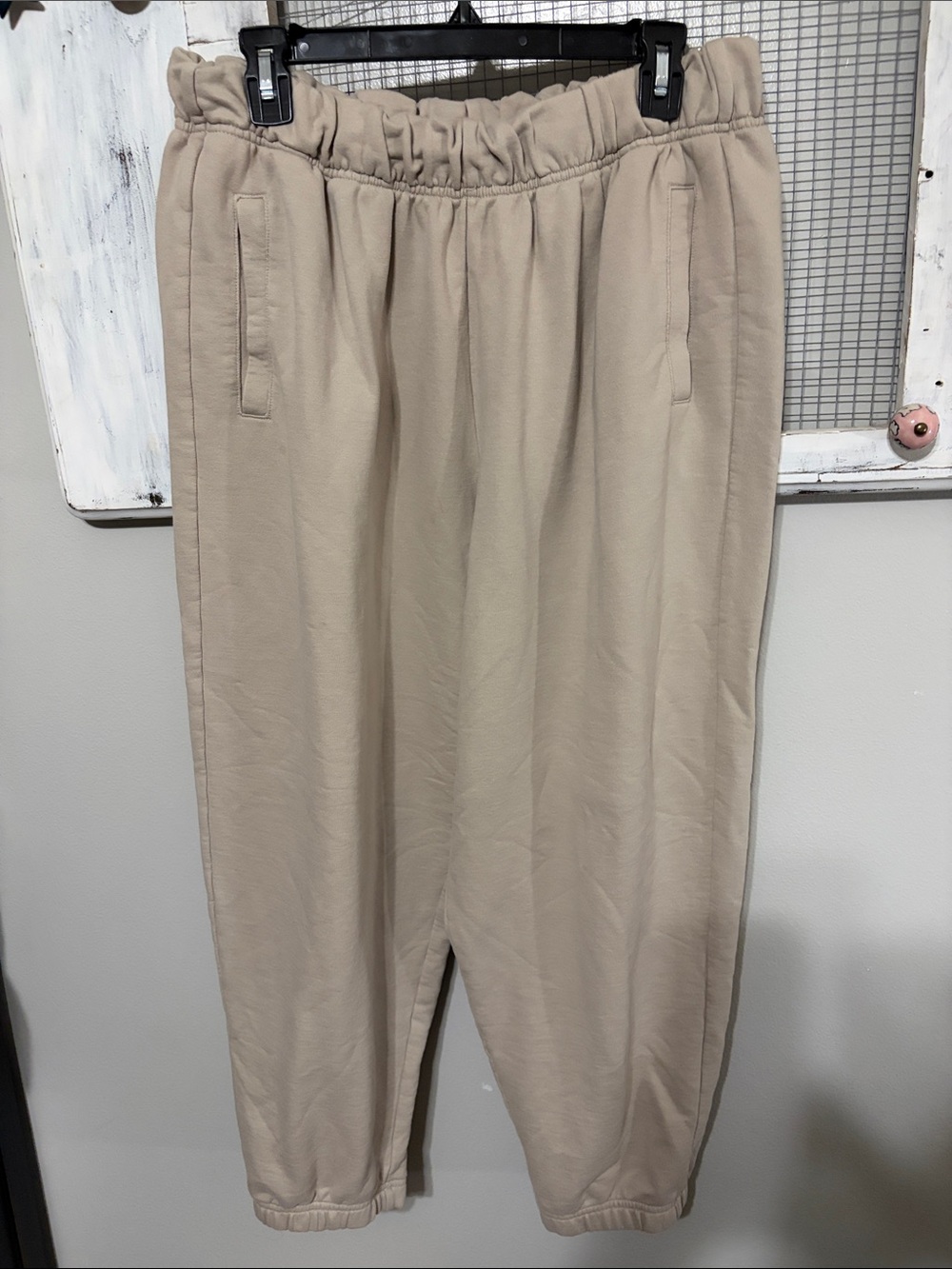 aerie Beige  Joggers